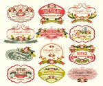 12 beautiful flowers label vector